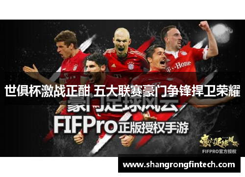 世俱杯激战正酣 五大联赛豪门争锋捍卫荣耀 世俱杯激战正酣 五大联赛豪门争锋捍卫荣耀